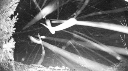 Image from 2024-12-03
