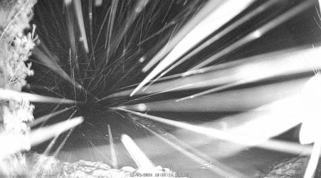 Image from 2024-12-03