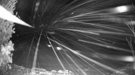 Image from 2024-12-03