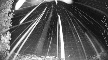 Image from 2024-12-03