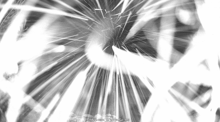 Image from 2024-12-03