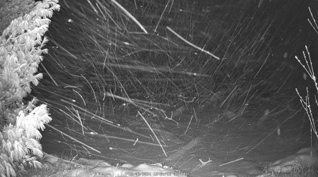Image from 2024-12-05