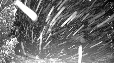 Image from 2024-12-05