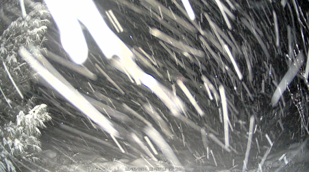 Image from 2024-12-05
