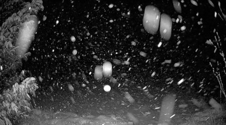 Image from 2024-12-05