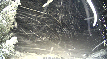 Image from 2024-12-05