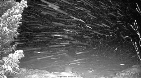 Image from 2024-12-05