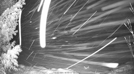Image from 2024-12-05