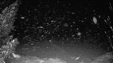 Image from 2024-12-05