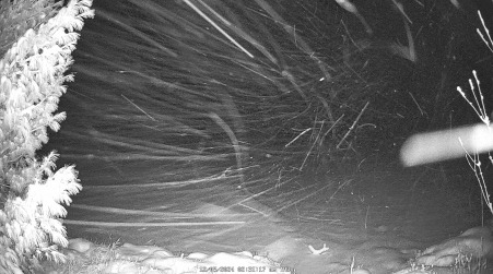 Image from 2024-12-05