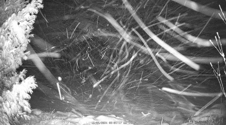 Image from 2024-12-05