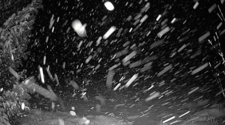 Image from 2024-12-05