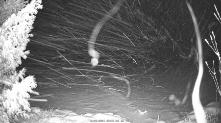 Image from 2024-12-05