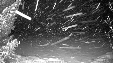 Image from 2024-12-05