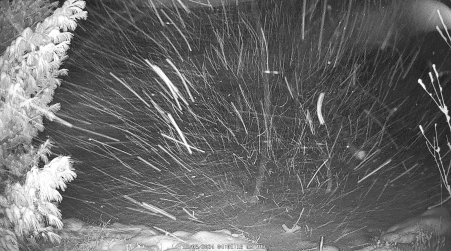 Image from 2024-12-05
