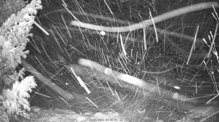 Image from 2024-12-05
