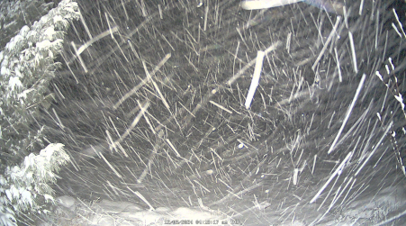 Image from 2024-12-05