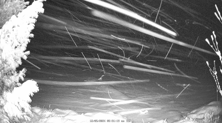 Image from 2024-12-05