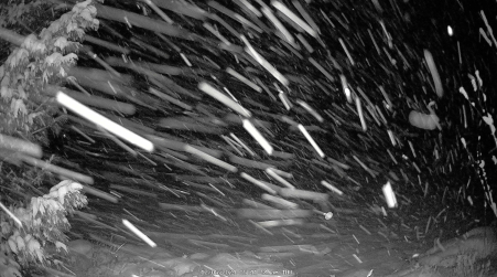 Image from 2024-12-05