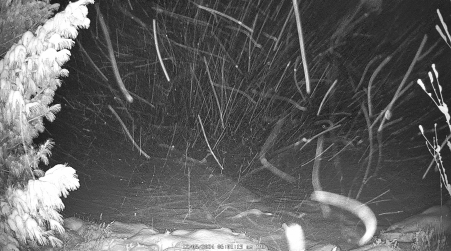 Image from 2024-12-05