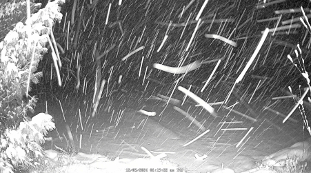 Image from 2024-12-05