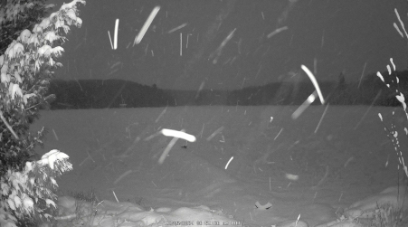Image from 2024-12-05