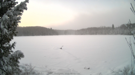 Image from 2024-12-05