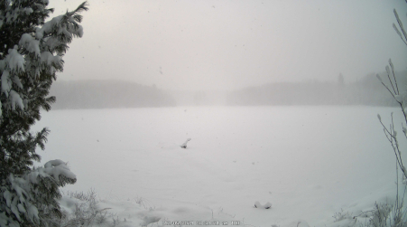 Image from 2024-12-05