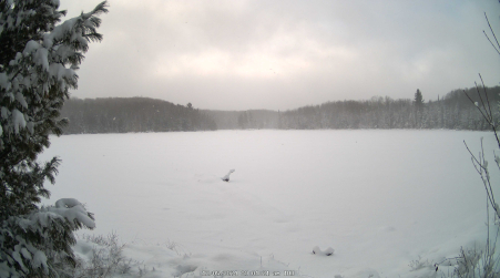 Image from 2024-12-05