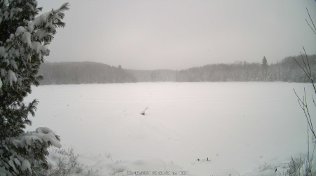 Image from 2024-12-05
