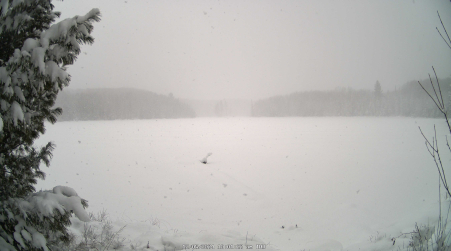 Image from 2024-12-05