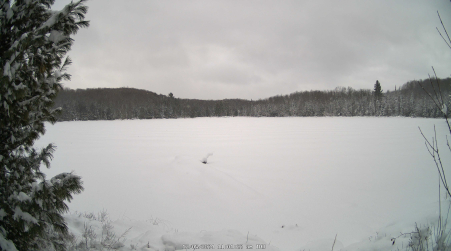 Image from 2024-12-05