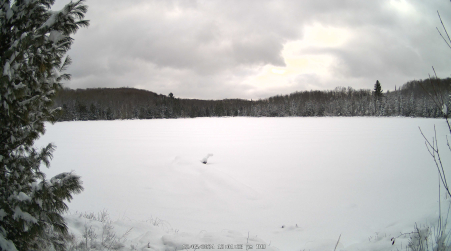 Image from 2024-12-05