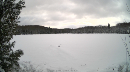 Image from 2024-12-05
