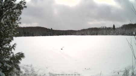 Image from 2024-12-05