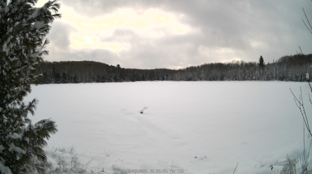 Image from 2024-12-05