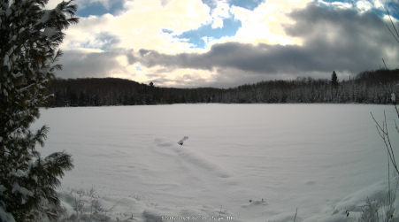 Image from 2024-12-05