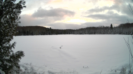 Image from 2024-12-05