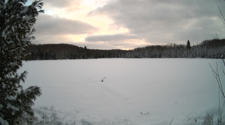 Image from 2024-12-05