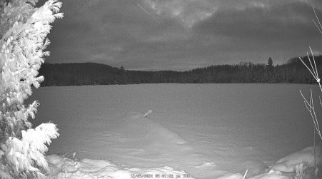 Image from 2024-12-05