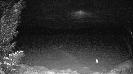 Image from 2024-12-05