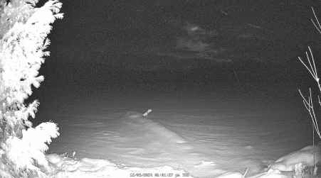 Image from 2024-12-05