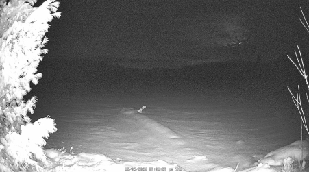 Image from 2024-12-05