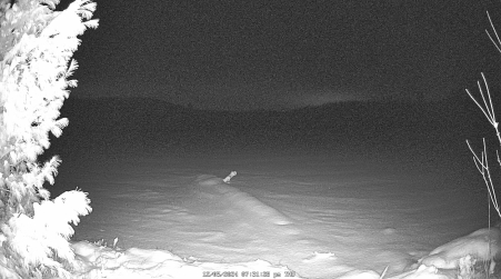 Image from 2024-12-05