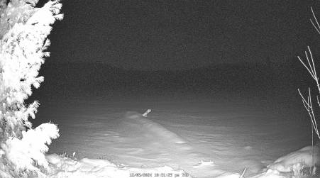 Image from 2024-12-05