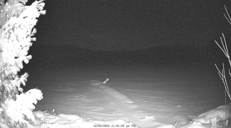 Image from 2024-12-05