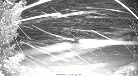 Image from 2024-12-05