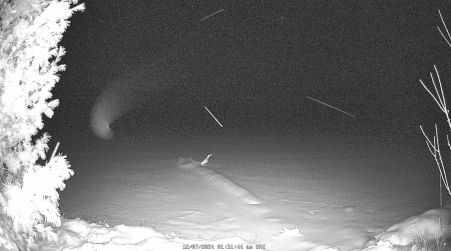 Image from 2024-12-07