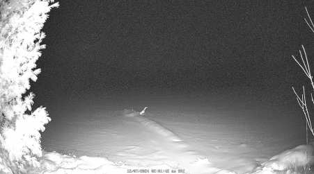 Image from 2024-12-07