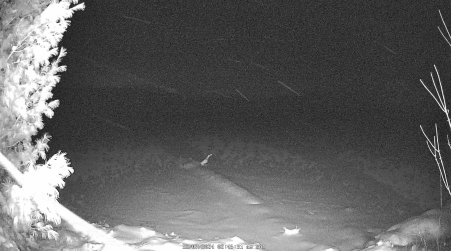 Image from 2024-12-07